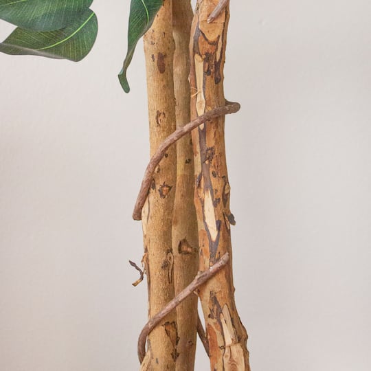 7ft. Potted Ficus Tree